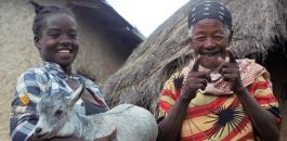 Goat kids bring hope for Shegitu's kids