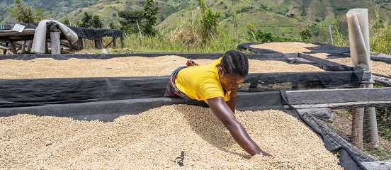 New project with Feed the Future will help coffee farmers reduce the risk of volatile prices