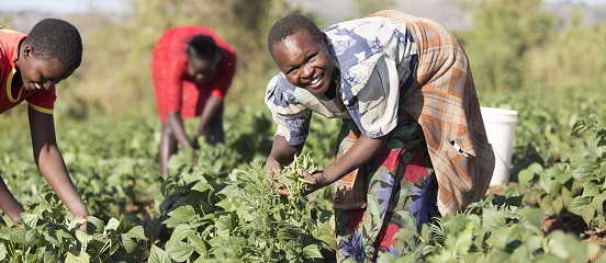 Aldi extends Farm Africa partnership