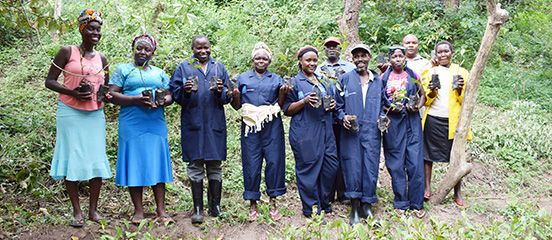 How market and financial linkages have boosted incomes for youth groups in coastal Kenya