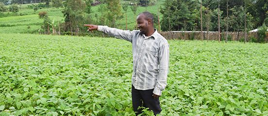 Creating brighter futures for young people through vegetable farming 
