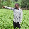 Creating brighter futures for young people through vegetable farming 