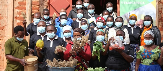 COP26 dialogue looks at how sorghum can build Tanzanian farmers' climate resilience