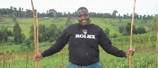 Horticulture project grows futures for young Kenyan farmers