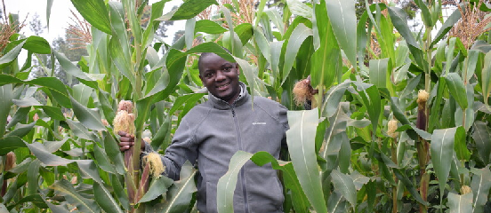 Fuelling smallholder farmers' resilience through Regenerative Agriculture