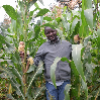 Fuelling smallholder farmers' resilience through Regenerative Agriculture