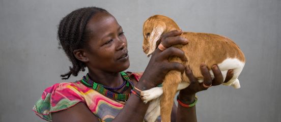 Boosting nutrition and livelihoods through livestock
