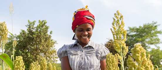 Snapshot of women's engagement in Farm Africa projects in Kenya
