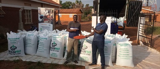 Ugandan chilli farmers celebrate first major export