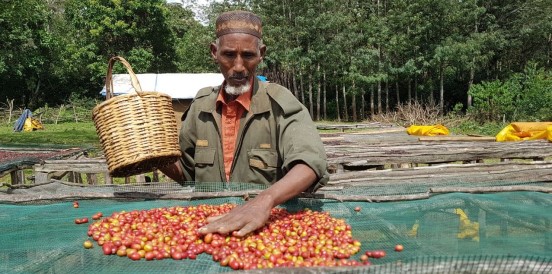 Abdurahman Kule a coffee farmer from Bale Ethiopia