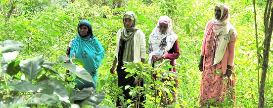 Members of the Biftu Beri VSLA patrolling the forest in Bale, Ethiopia.