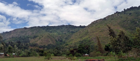 Postcard from Tanzania: Struggles for smallholder farmers