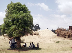 Group discussion in Assela, Ethiopia