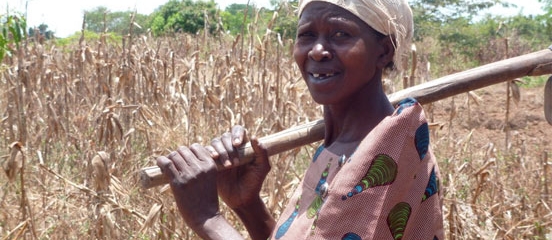 Postcard from Uganda: providing local solutions to local problems