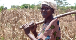 Postcard from Uganda: providing local solutions to local problems