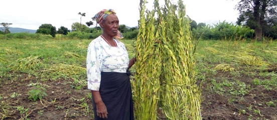 Postcard from Tanzania: Sowing the seeds of knowledge