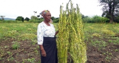 Postcard from Tanzania: Sowing the seeds of knowledge