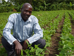Farmer Baale George in his flourishing field