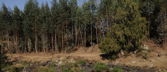 Postcard from Doha - Is a climate deal on the cards?