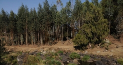 Postcard from Doha - Is a climate deal on the cards?