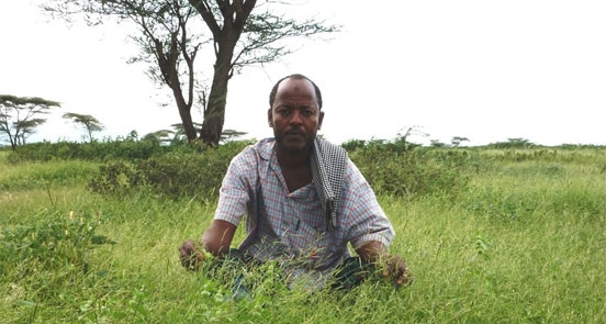 Postcard from Ethiopia: a green invasion