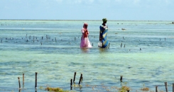 Postcard from Zanzibar - Changing lives in paradise