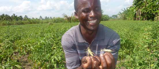 The view from Kilosa