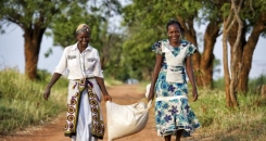 Where are all the men?