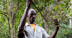 Turning back the tide of deforestation in Ethiopia