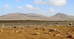 The Glue in Our Interconnected World - Reflections from my visit to Farm Africa's work in Ethiopia 