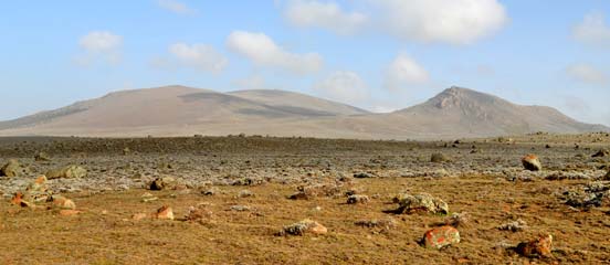The Glue in Our Interconnected World - Reflections from my visit to Farm Africa's work in Ethiopia 