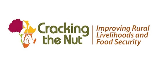 Unlocking markets to speed up development