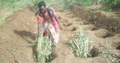 Postcard from Kenya - The hunger trap