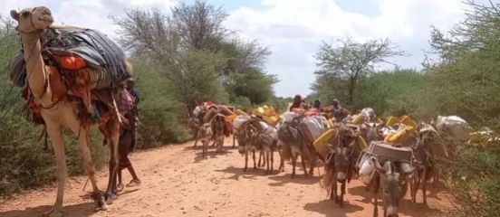 Severe drought threatens food security in eastern Africa