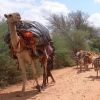 Severe drought threatens food security in eastern Africa