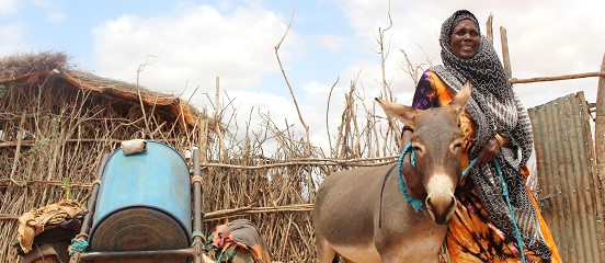 Savings keep Dukan's water business afloat