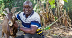 Goat Power: Q&A with Dr Emmanuel Egaru