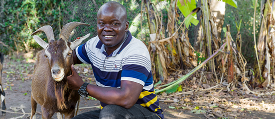 Goat Power: Q&A with Dr Emmanuel Egaru