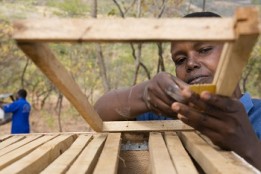 Farm Africa - Female farmer Joyce from Tanzania