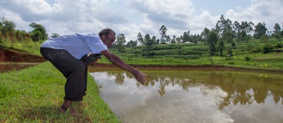 Supporting Kenyan fish farmers to build their businesses