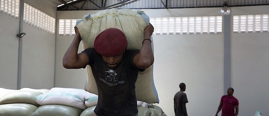 Staple crops farmers in Tanzania and Uganda to receive boost