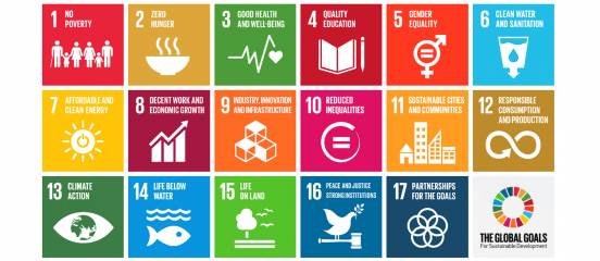 Farm Africa welcomes the Global Goals for Sustainable Development