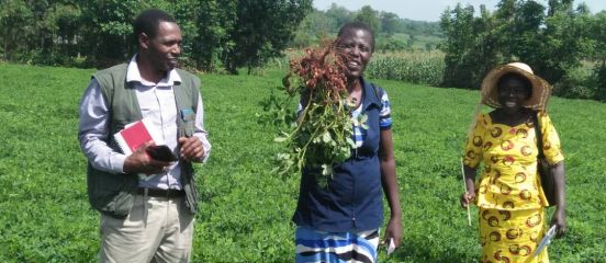Growing farmers' incomes from the ground up