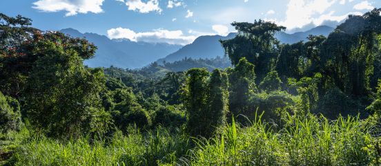 IPCC climate report calls for urgent action on climate change mitigation and adaptation