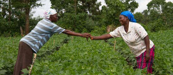 The Paris Agreement: the view from Farm Africa