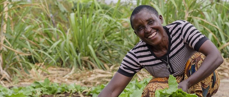 Christina working in her vegetable garden in Dodoma, Tanzania. Photograph: Farm Africa / Michael Goima 