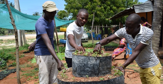 Ngerenya Yoith Group demonstrating how to build a cone garden