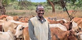 Rotational grazing brings hope in Bale