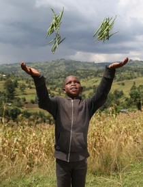 Farm Africa - Timothy with beans in Kenya
