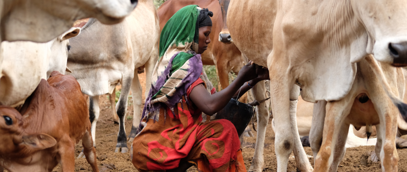 Photo: Farm Africa / Nathan Siegel